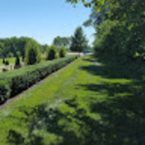 Meet your Posher, Adam & summer